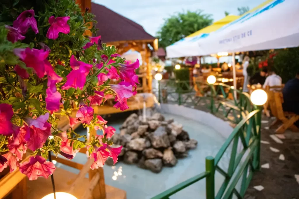 flori-terasa-restaurant-complex-poienita-costinesti